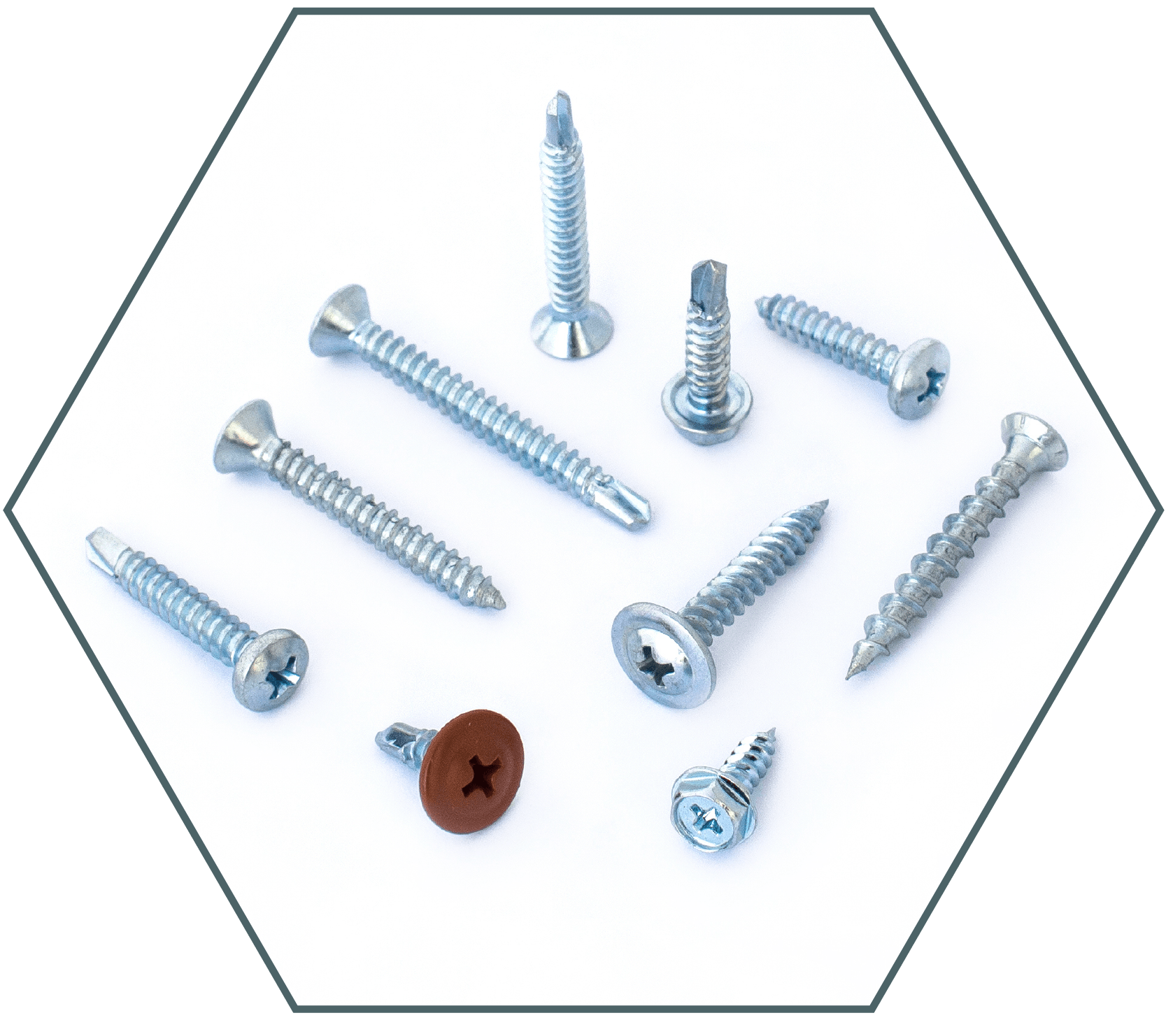 Fasteners specialists - Metal screws
