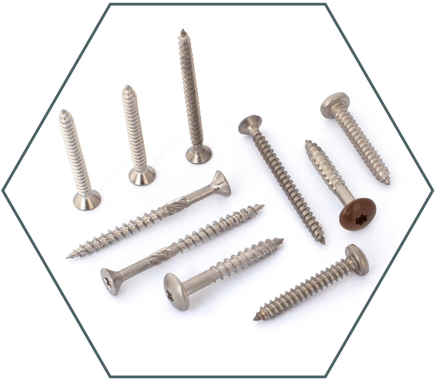 Fasteners specialists - Stainless steel screws